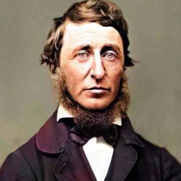 H.D. Thoreau – A Battle of Ants for UGTRB: Ultimate Insights