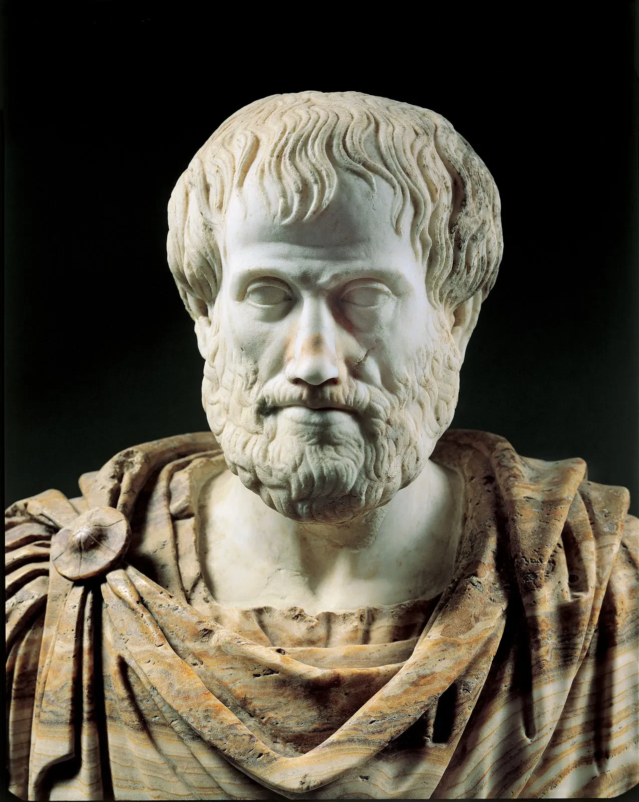 Aristotle Poetics: Key Concepts for NET, GATE & TRB